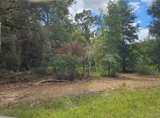 34030 Long Cir, Webster, FL 33597