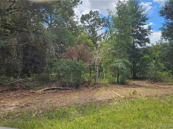 34030 Long Cir, Webster, FL 33597