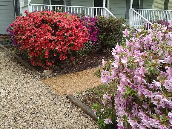 Bursts of color greet you