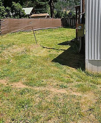 Back yard with privacy fence
