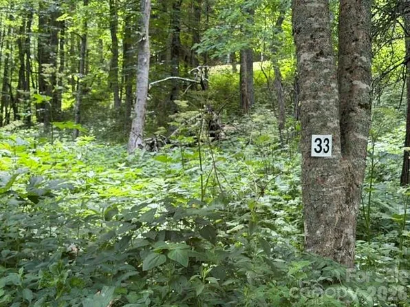 33 Toi Trl, Maggie Valley, NC 28751
