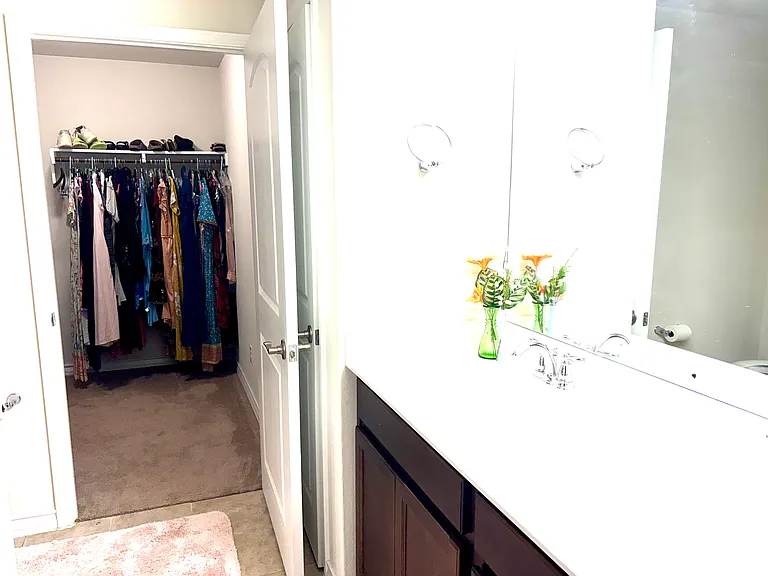 Spacious Walkin Closet (master)