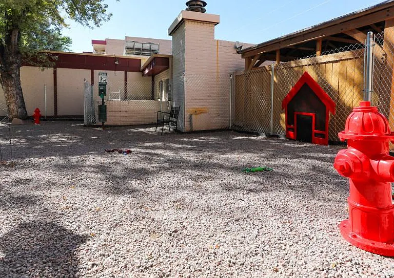 Gated dog park