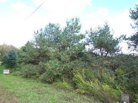 2nd image of 9531 Beaver Rd