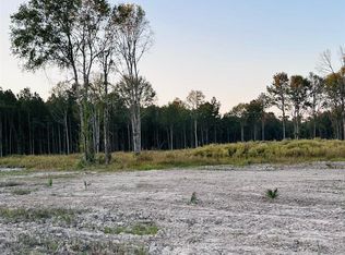 16361 Peacock Dr, Walker, LA 70785