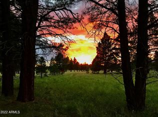 4889 Forrest Ranches Loop, Parks, AZ 86018