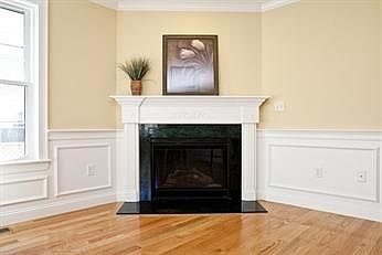 Gas fireplace