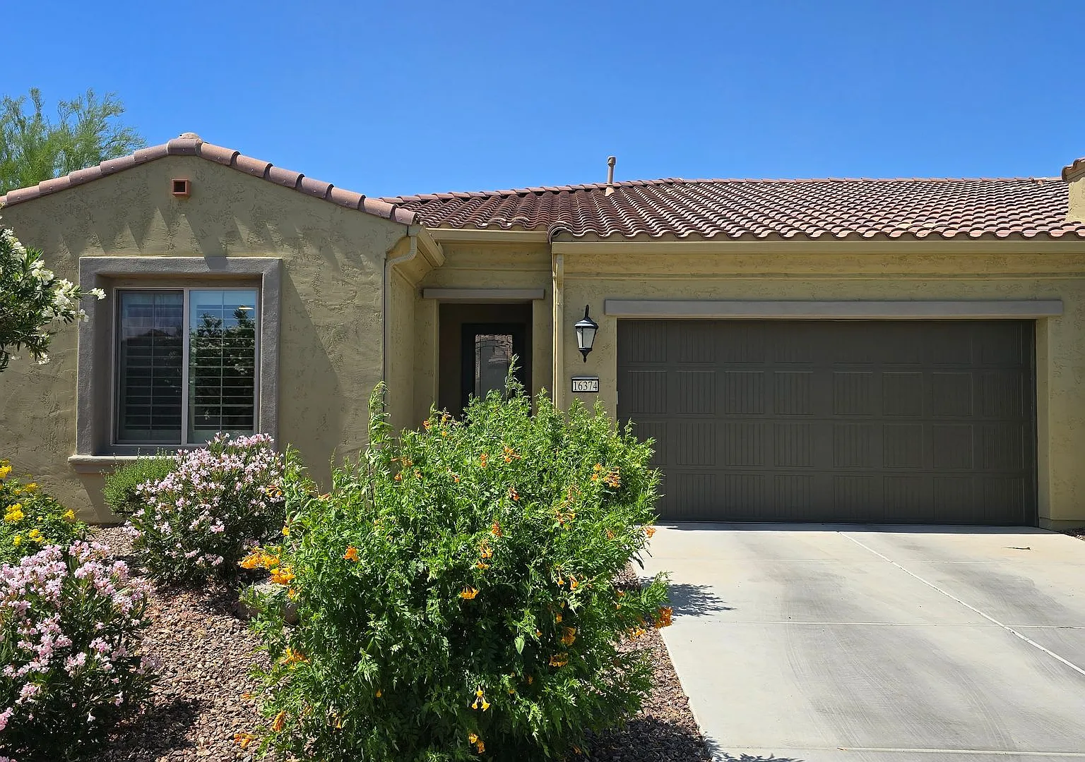 55+ Amenity rich Pebble Creek community! — Photo 1