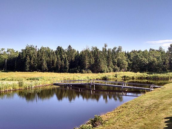 Pond behind the apartment buildings.