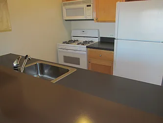 Rented by Lisa Management