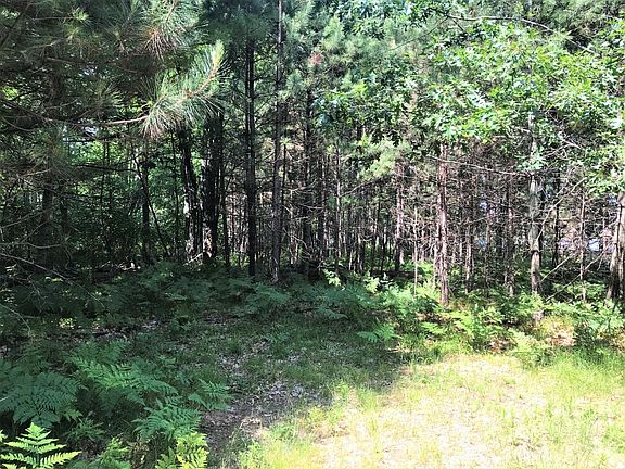 5th image of On Hunter Lake Rd W #W
