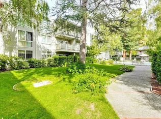 181 Del Medio Ave APT 306, Mountain View, CA 94040
