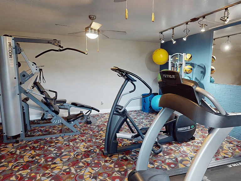 Weights, Cardio Machines and Other Supplies