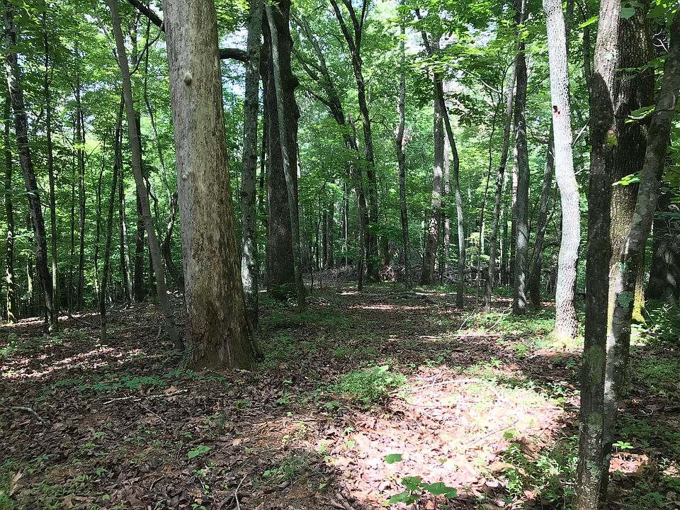2nd image of 1823 SW Schriver Rd