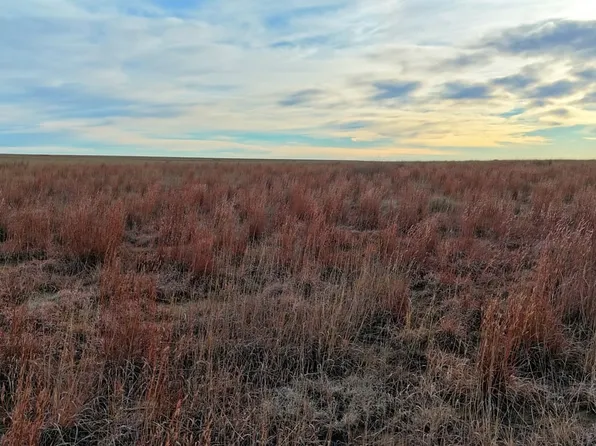 County Road 22, Haswell, CO 81045