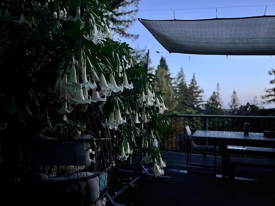 1st image of 10 Russell Ave