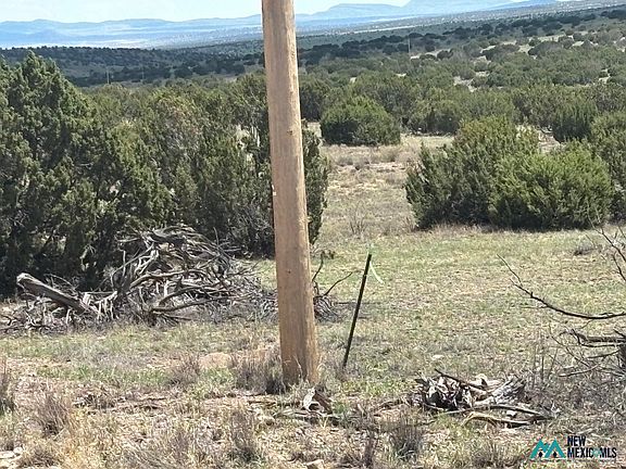 5th image of LOT 24 Pinon Spgs #24