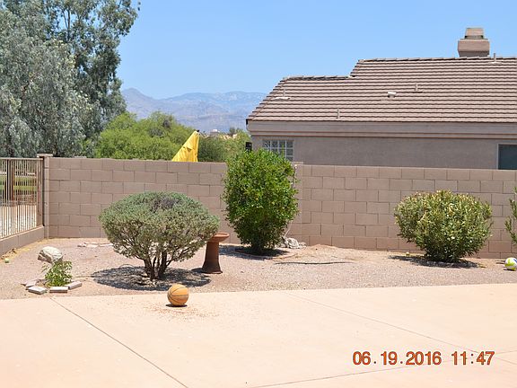 Back Yard2