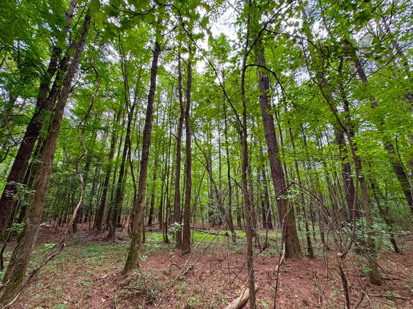 [object Htmlinputelement], Four Oaks, NC 27524