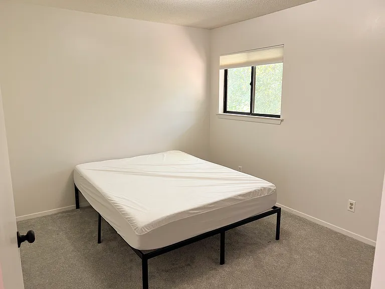 816 Cedar Ridge Dr — Photo 23