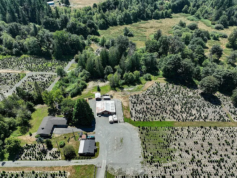 18021 Issaquah Hobart Rd SE — Photo 6
