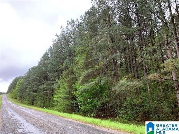 0 County Road 40 Lot 0, Fruithurst, AL 36262