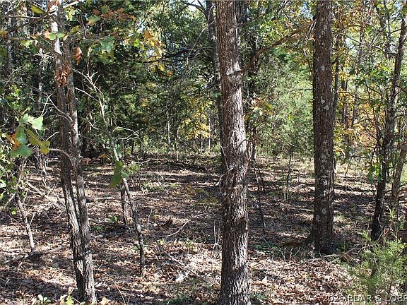 5th image of Leaning Tree Rd