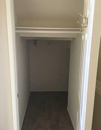 Downstairs closet/storage