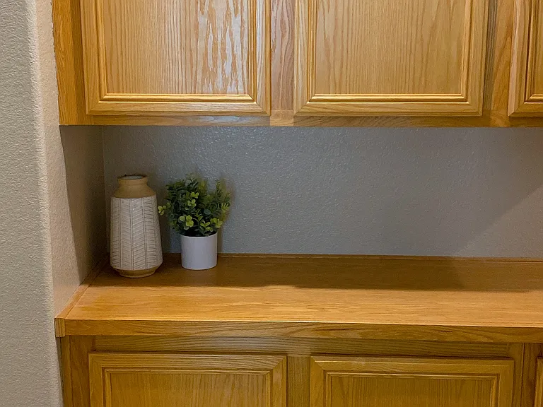 10106 Diving Duck Ave — Photo 18