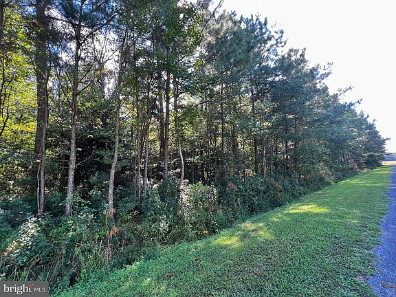 3rd image of LOT 3 Wildwood Dr