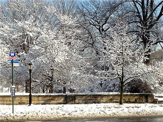 Rented by R New York | media 11