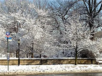 Rented by R New York