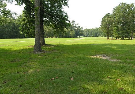Golf COurse View