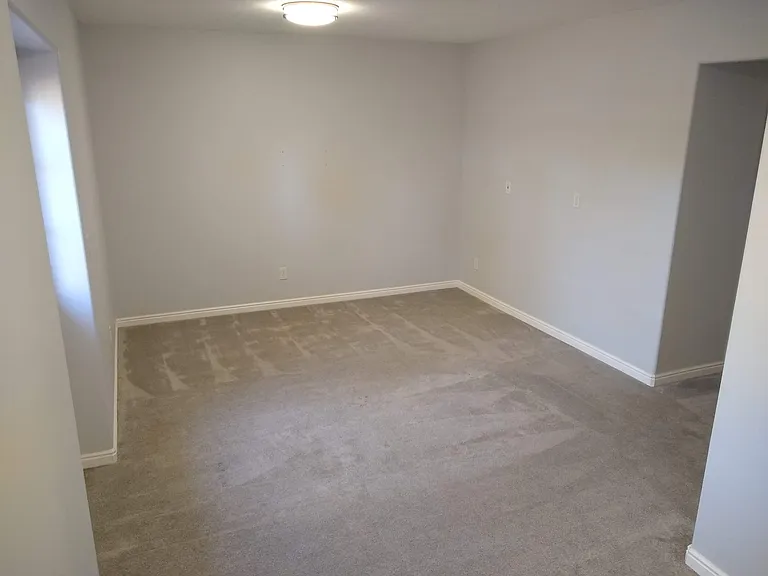 Downstairs Family Room