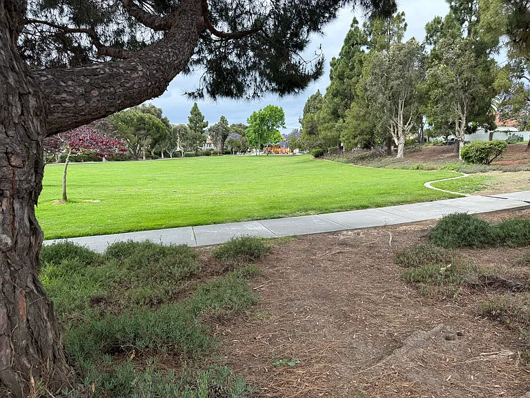 12436 Cavallo St — Photo 30