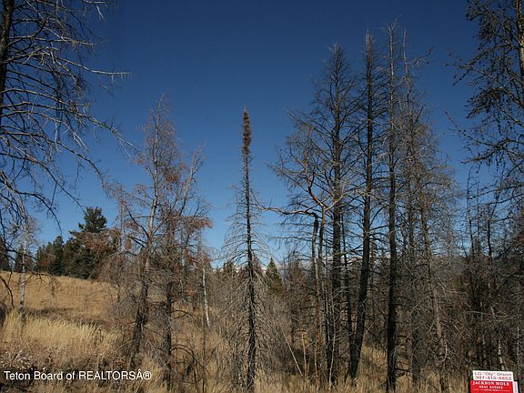 2nd image of Eagle Heart Ln