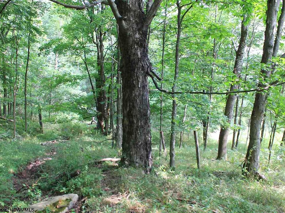 7 High Mountain Rd, Harman, WV 26270 MLS 10099944 Zillow