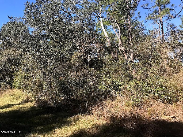 2nd image of 2119 W Pinegrove Dr