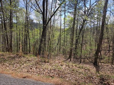 135 Adair Dr NE, Ranger, GA, 30734