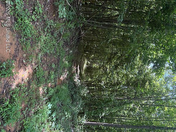 2nd image of County Road 180