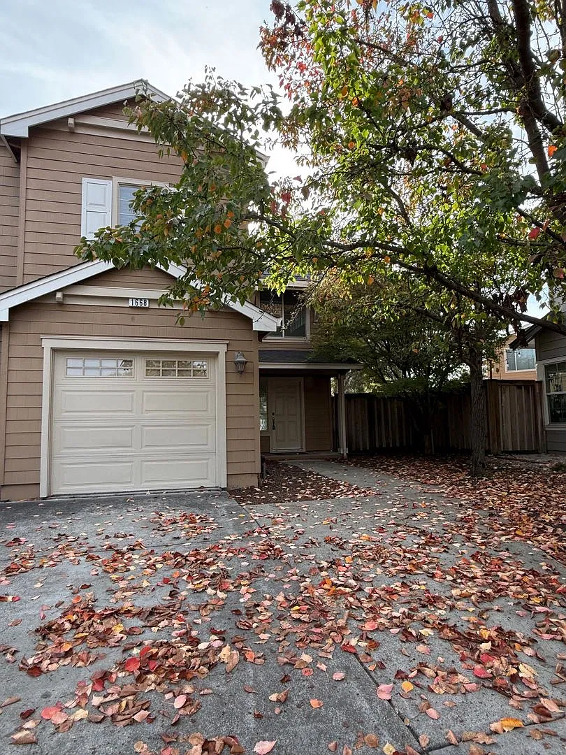 Levi — Photo 2