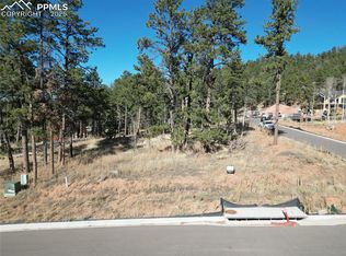 1310 Blue Haven Pl, Woodland Park, CO 80863