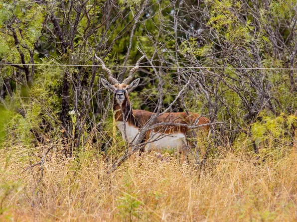 5990 Farm Road 1241, Hamilton, TX 76531