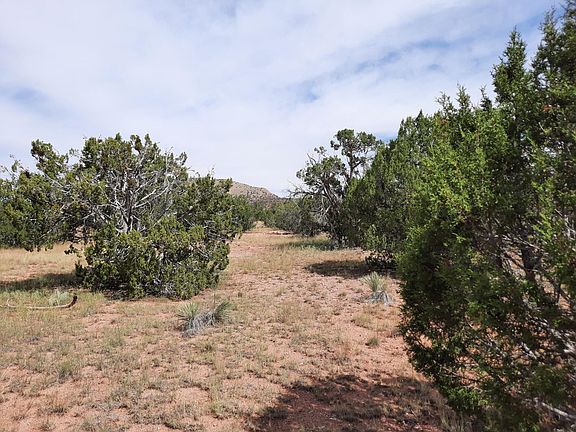 4th image of 27355 W El Oro Dr