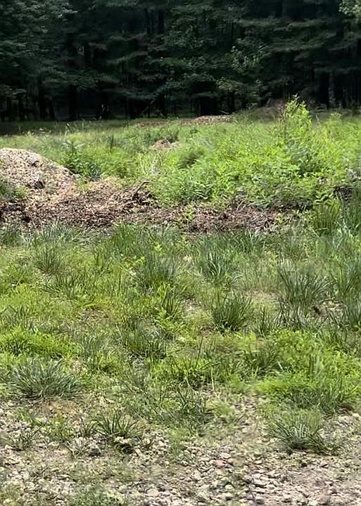 2nd image of 321 Ark Rd