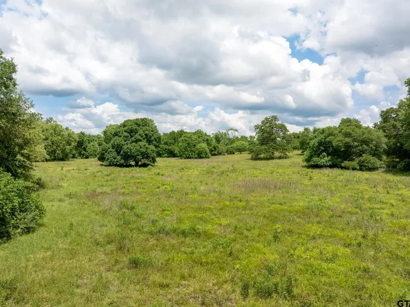 Fm 556, Gilmer, TX 75644