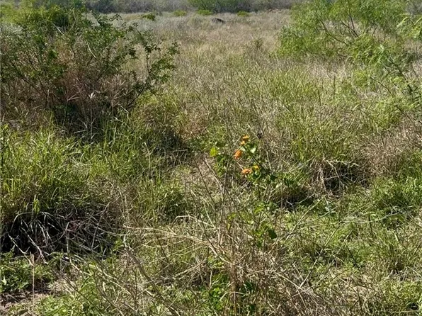 44 Ranch South Hwy S, San Diego, TX 78384
