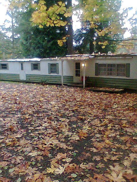 Sing wide rental trailer