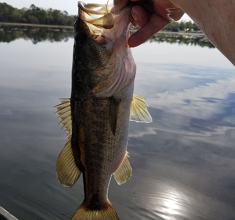 Great fishing !!