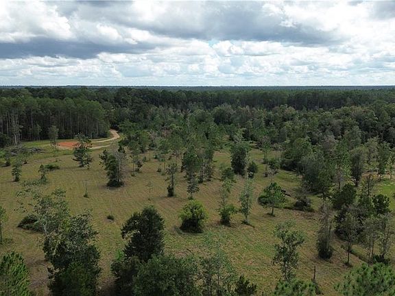 5th image of 78238 Higgens Rd
